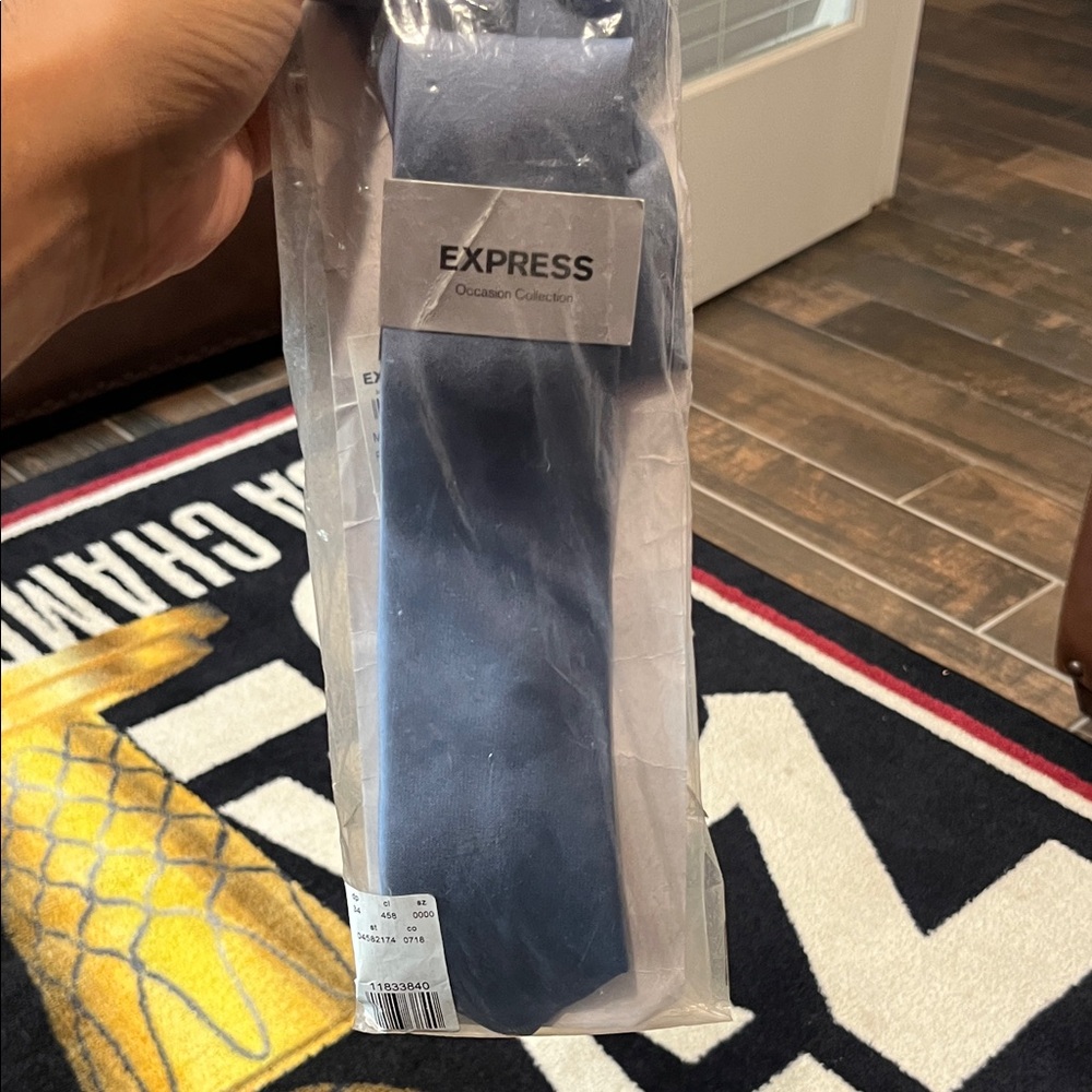 Express Classic Skinny Light Blue Silky Shinny Tie